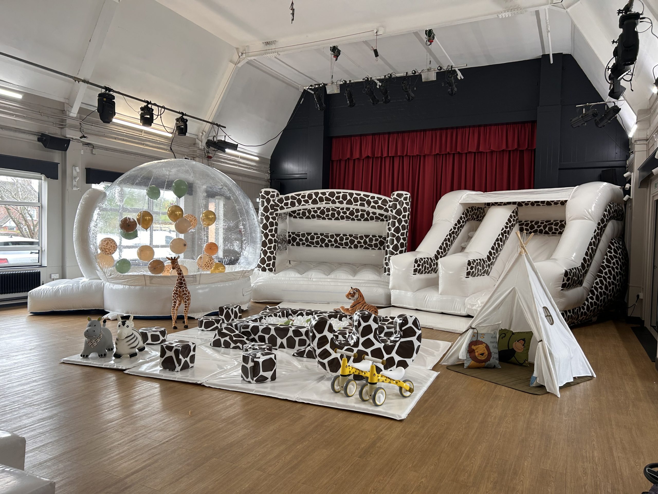 giraffe/safari soft play package